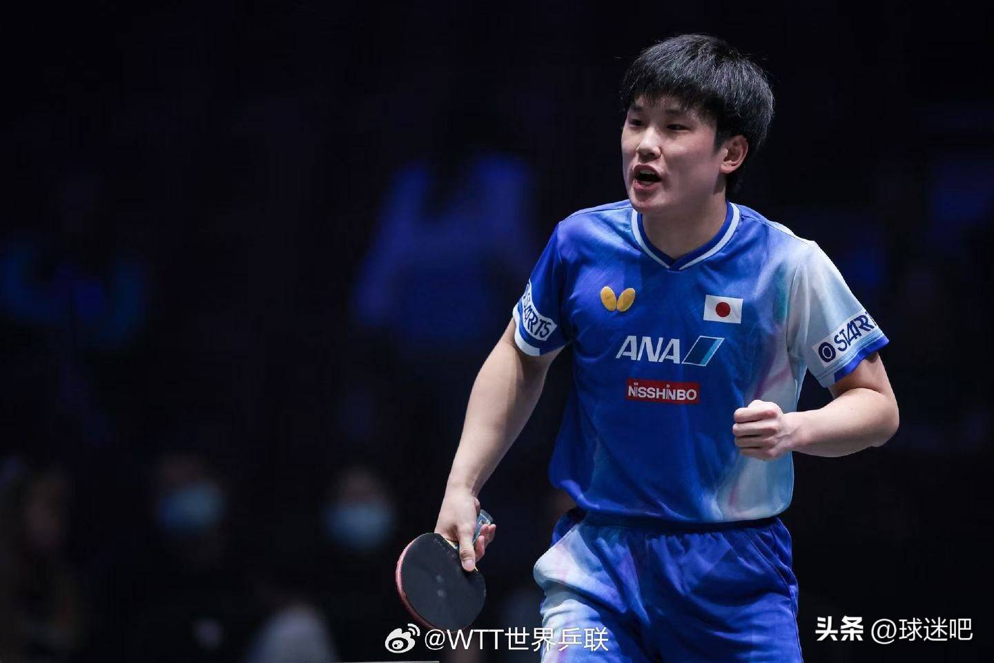 英格兰队翻盘法国队，张本智和关键制胜的简单介绍