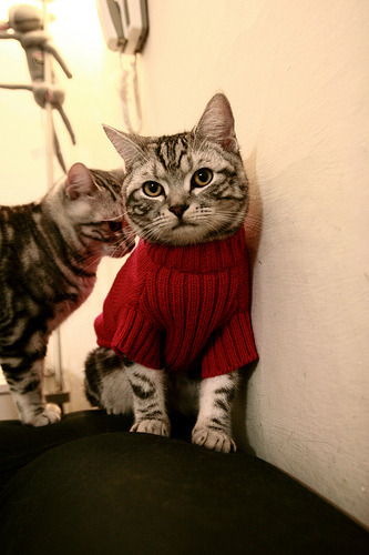 跨越太平洋的足球对话，奥斯梅恩独舞下的那不勒斯节奏