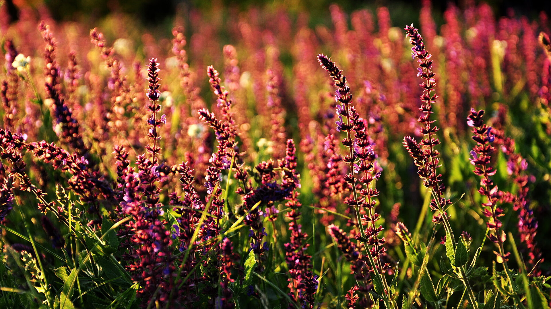 两种接管,一种风骨