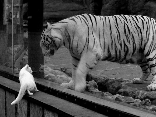 北欧冰原上的白色闪电,福登一箭定江山,皇马破冰芬兰创历史