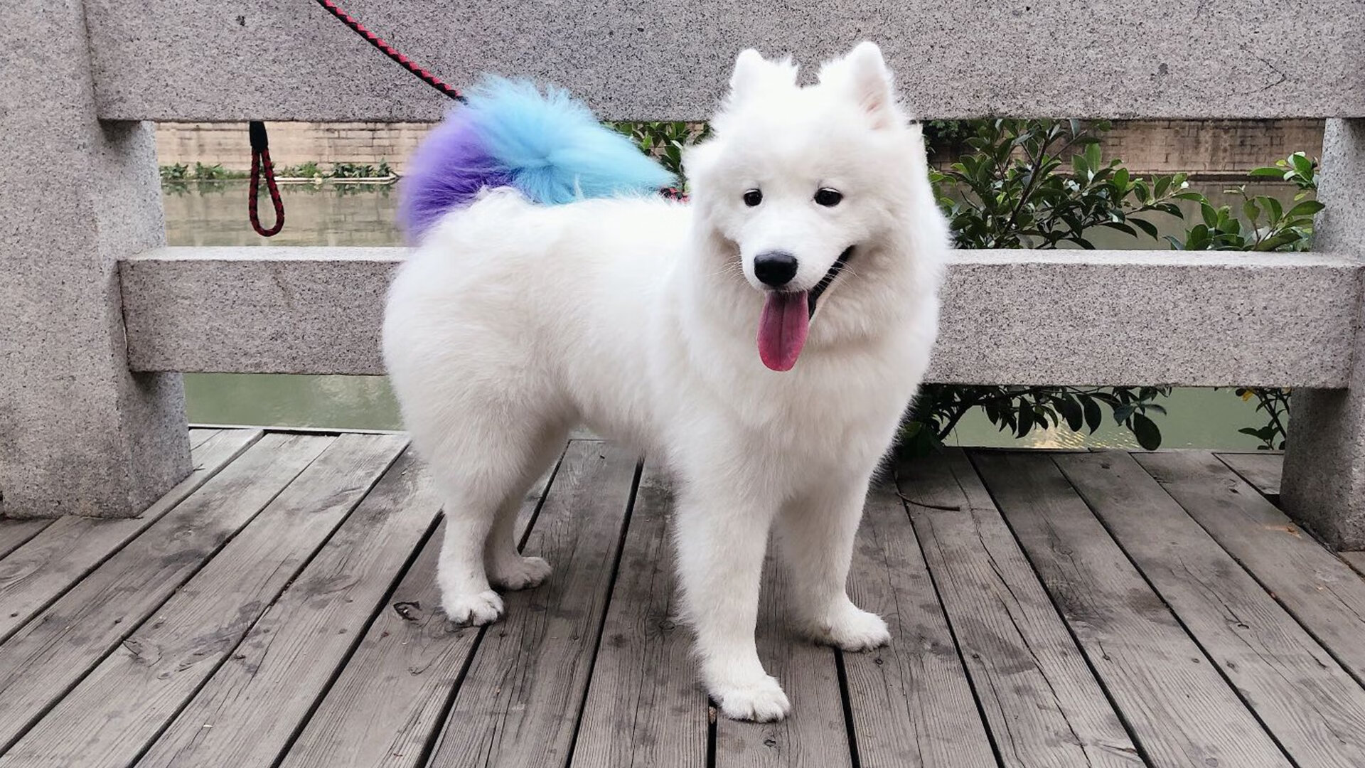 时空错位的绝杀，阿圭罗在篮球季后赛抢七之夜