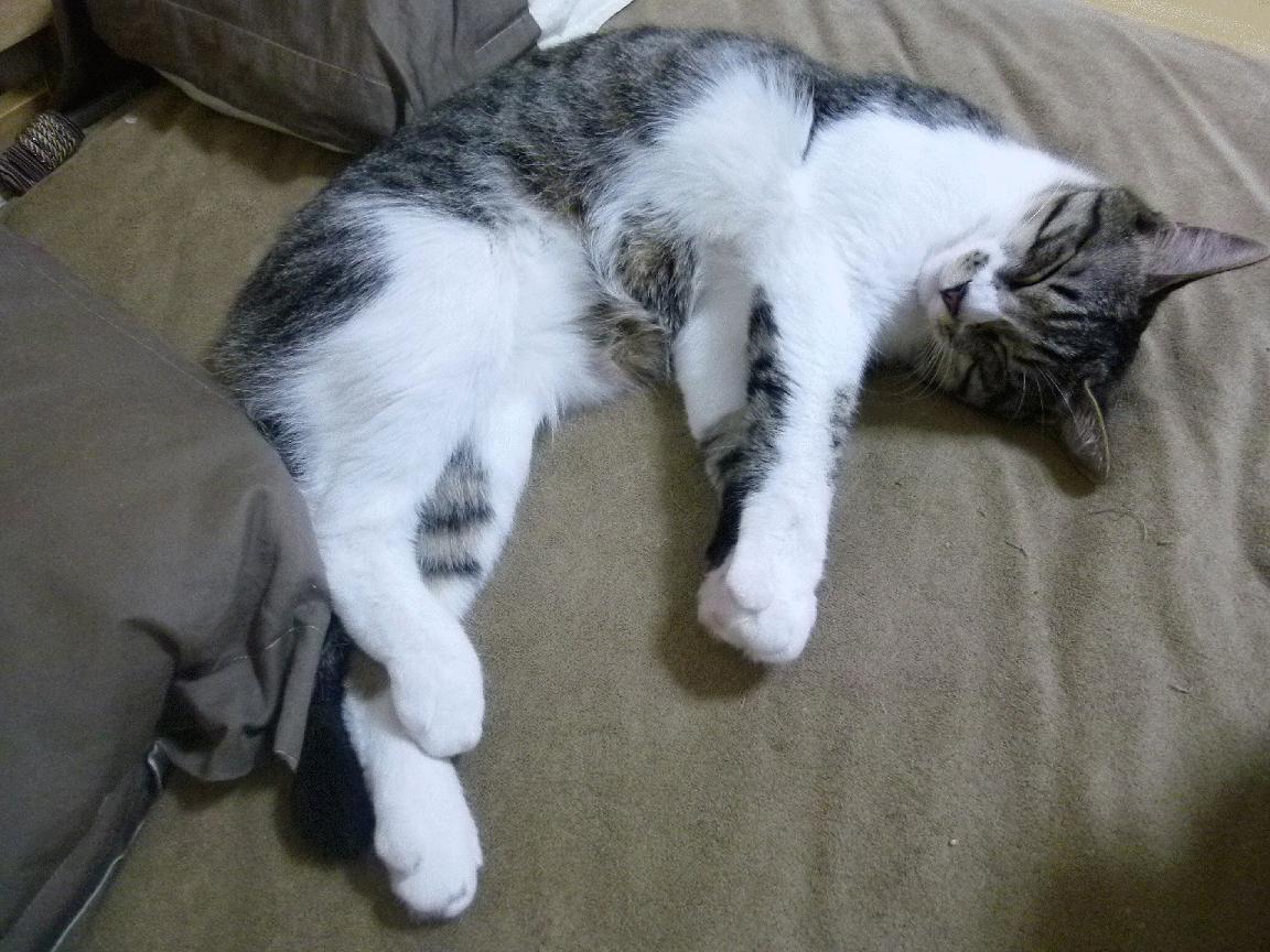 前锋化身铁闸，阿圭罗防守锁死宿敌，塞维利亚客场带走中国心