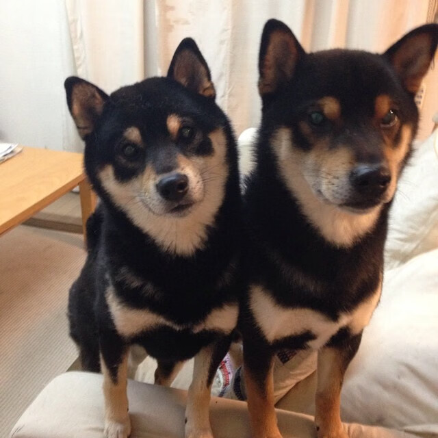 奇迹的对角线，当北京队打穿公牛，篮球宇宙的一次必然偶遇