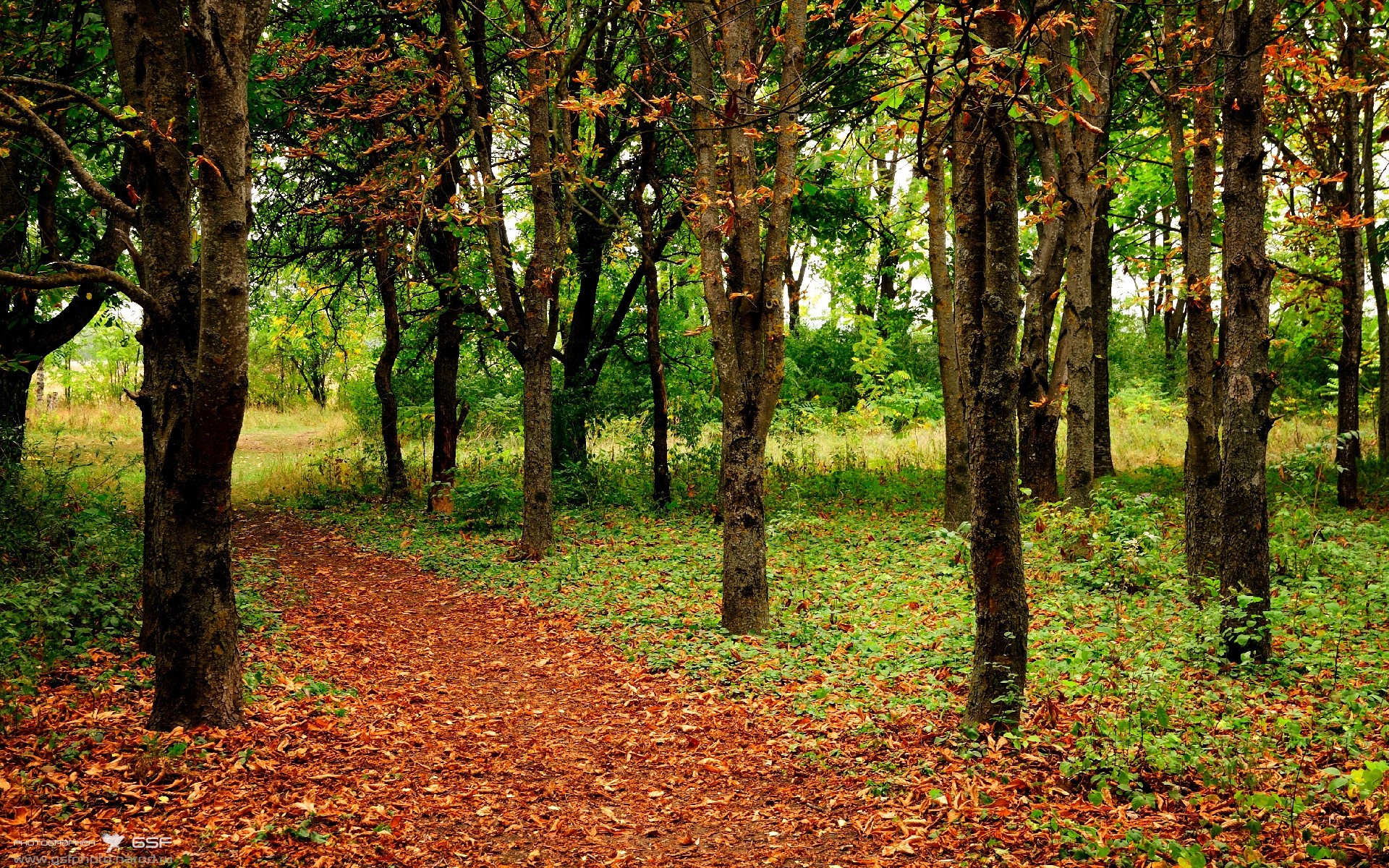 战术的错位艺术,当德甲争冠战遭遇一波流