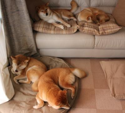 枪响之时,东契奇在抢七夜写下属于他的唯一传奇