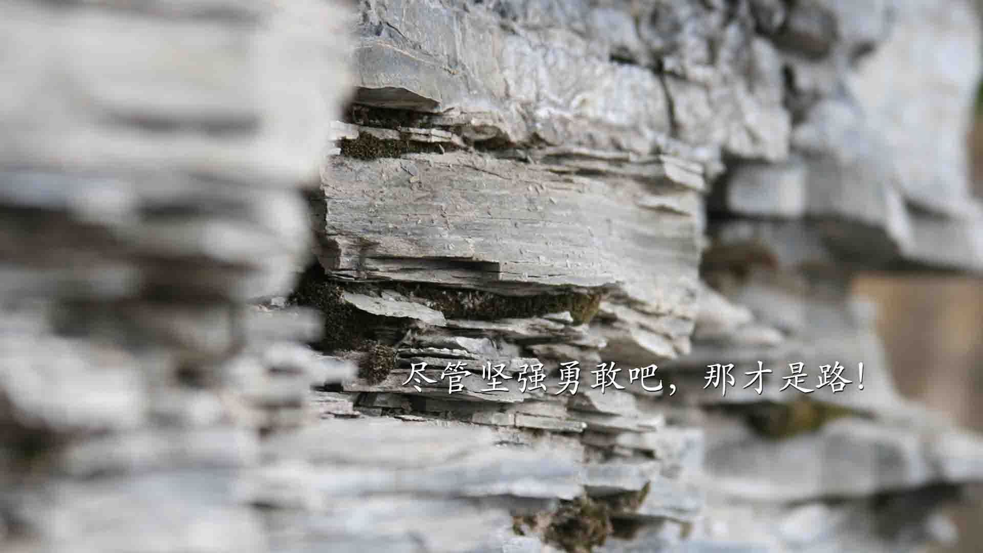 意甲烽烟与乌拉圭风暴，一场横跨欧陆与南美的足球交响