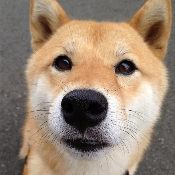 唯一性的双重奏，利物浦生死战逆转雷恩，奥纳纳F1揭幕战一枝独秀