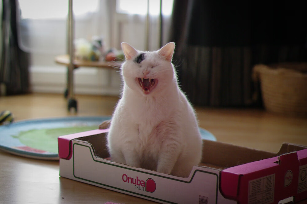 擎天柱·拉文，末节20分熄灭深圳烈焰，热火逆流而上破心魔