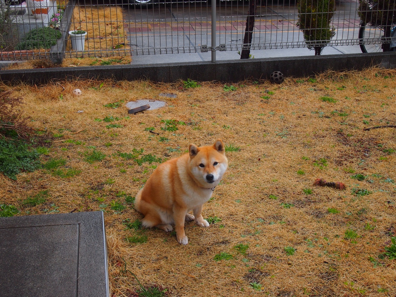 安哥拉以节奏掌控胜哥伦比亚,法比尼奥闪耀证明自我