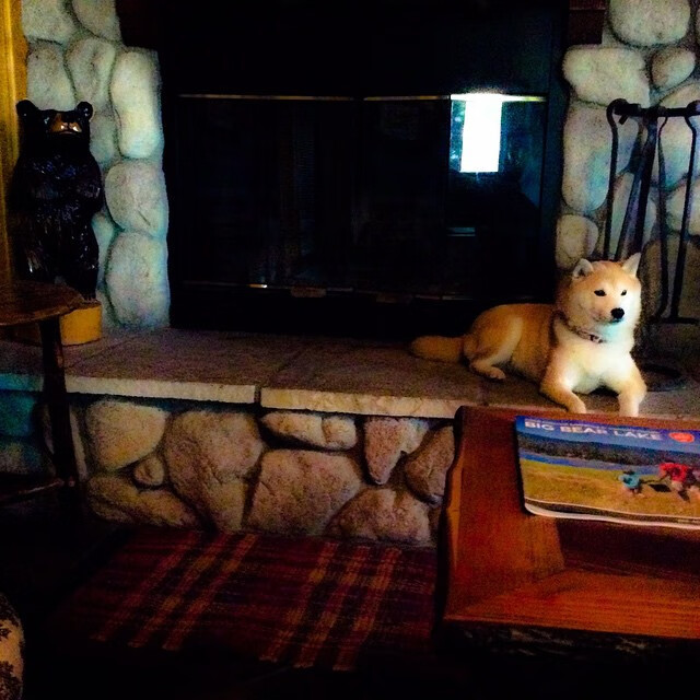 征服的两种方式,远射洞穿大陆与指尖重塑时间