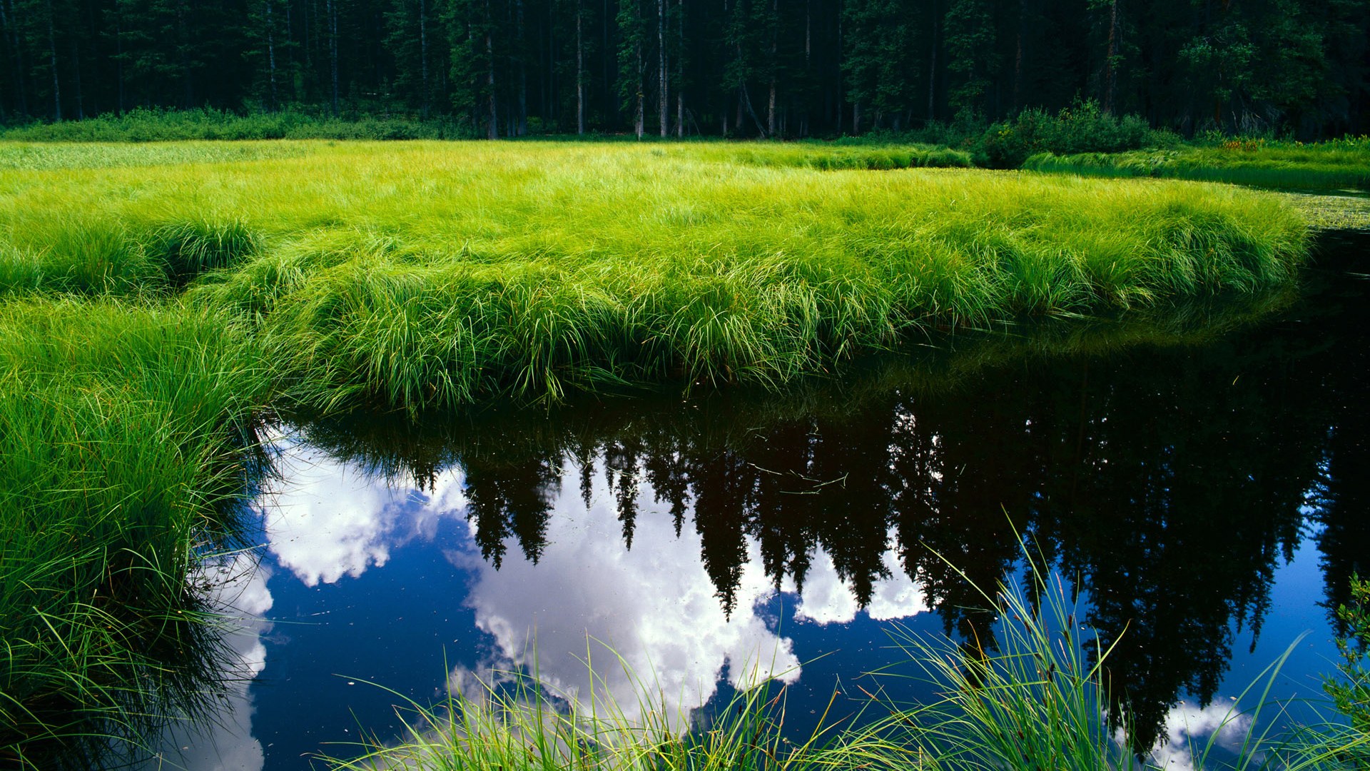 青蜂侠暴风雪夜袭天山！霍勒迪末节19分导演史诗级逆转