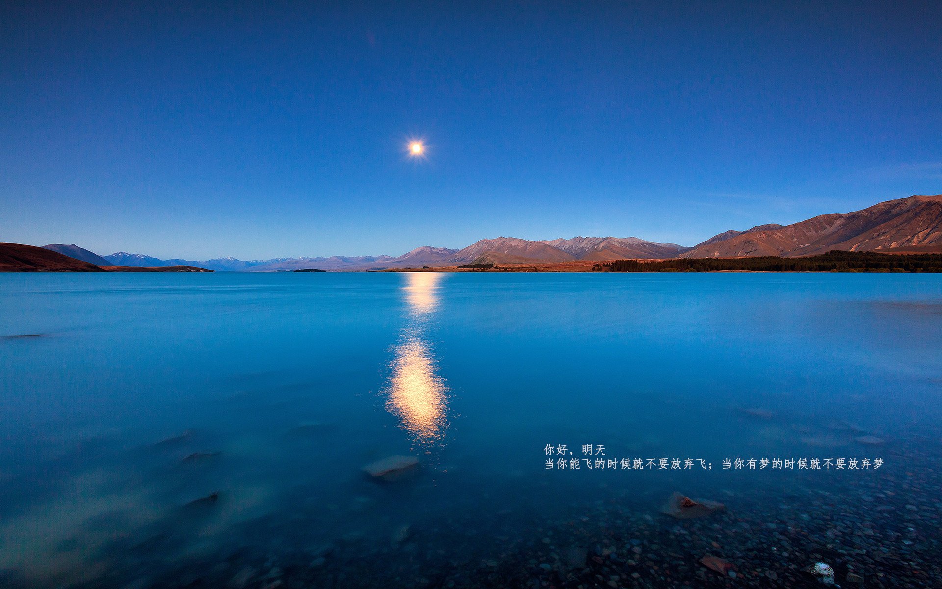 西决生死战焦点，多特蒙德惊天逆转丹麦，逆境中铸就传奇