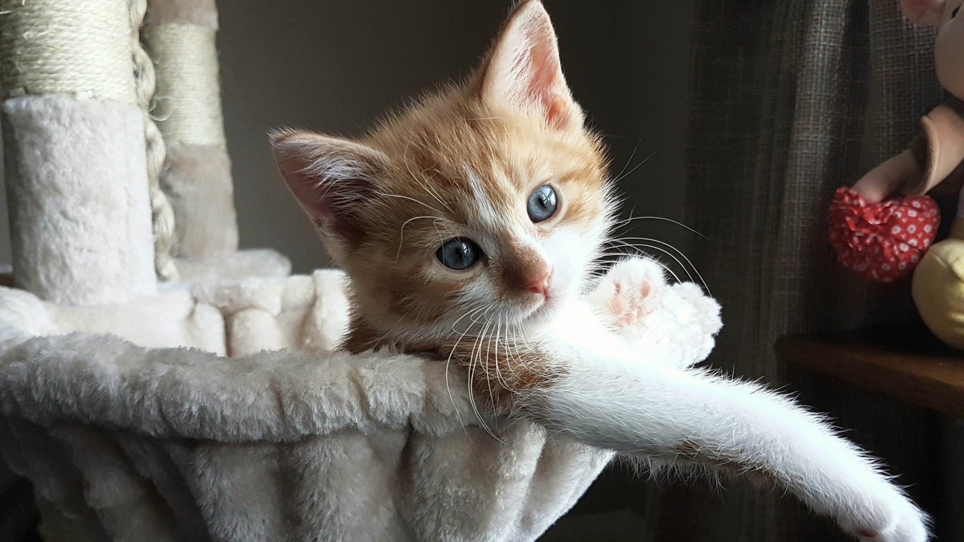 铁血枪手与孤胆英雄,阿森纳的体系强压与拉什福德的巨星时刻