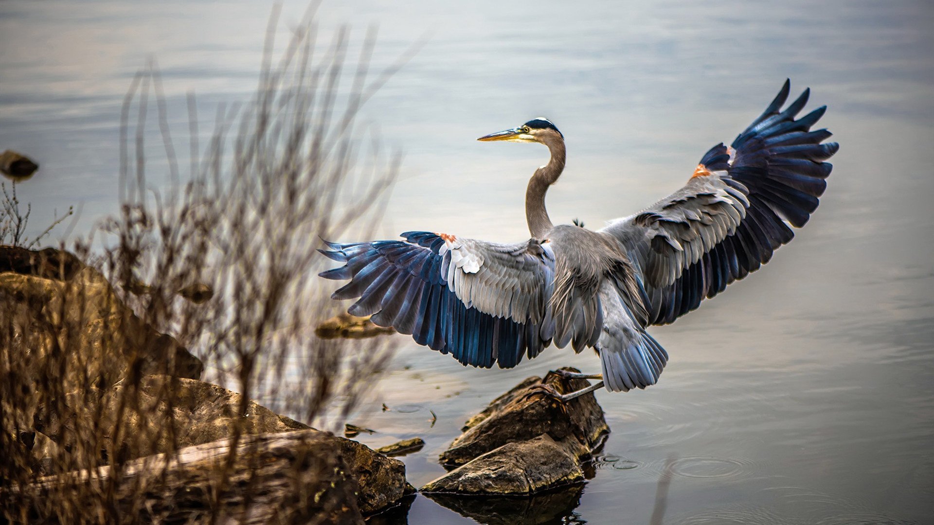 唯一，当数据风暴与沙海突围在世界杯穹顶下交会