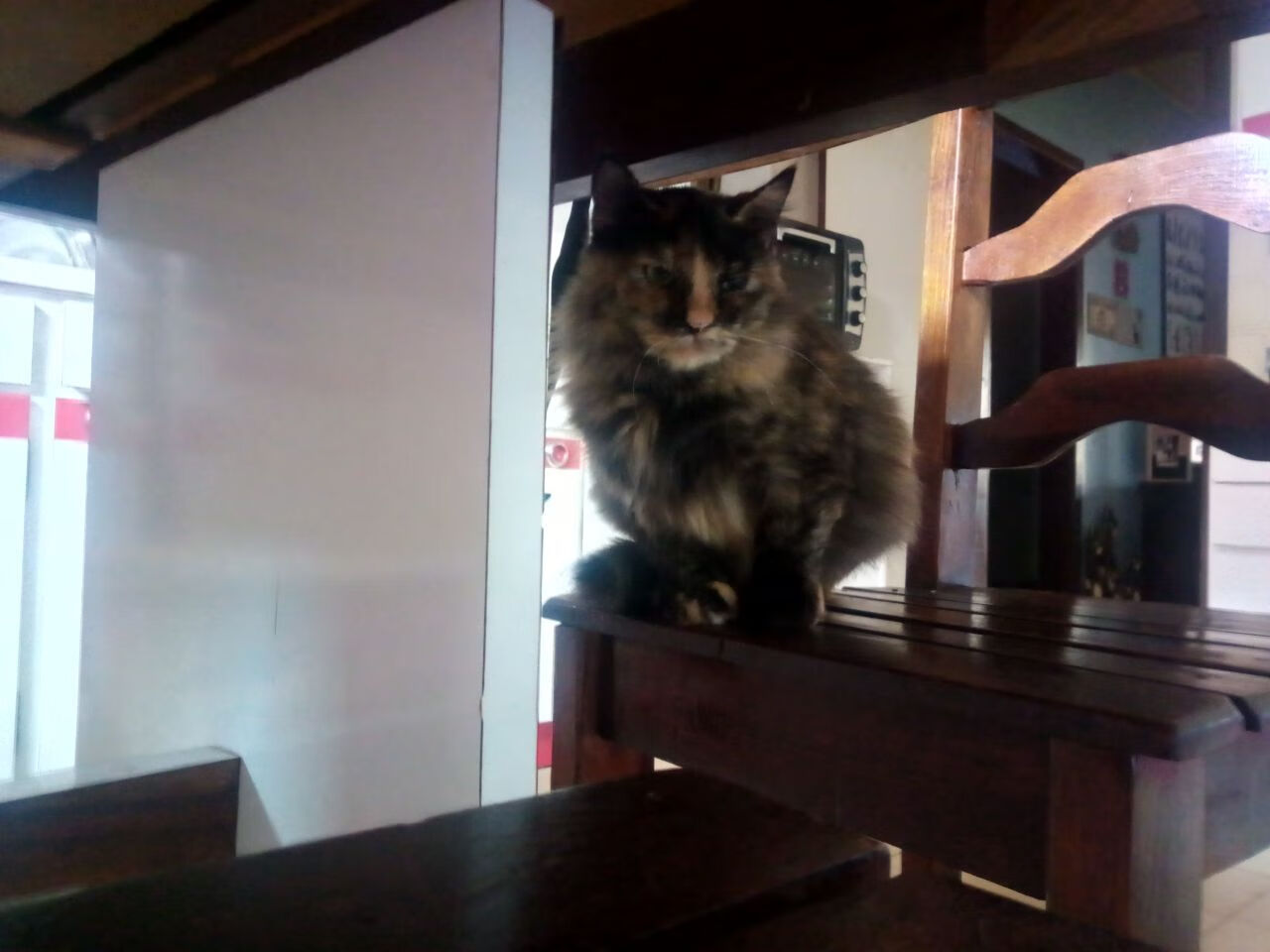 唯一之战，贝蒂斯欧冠淘汰赛压哨击败阿根廷，改写足球史册