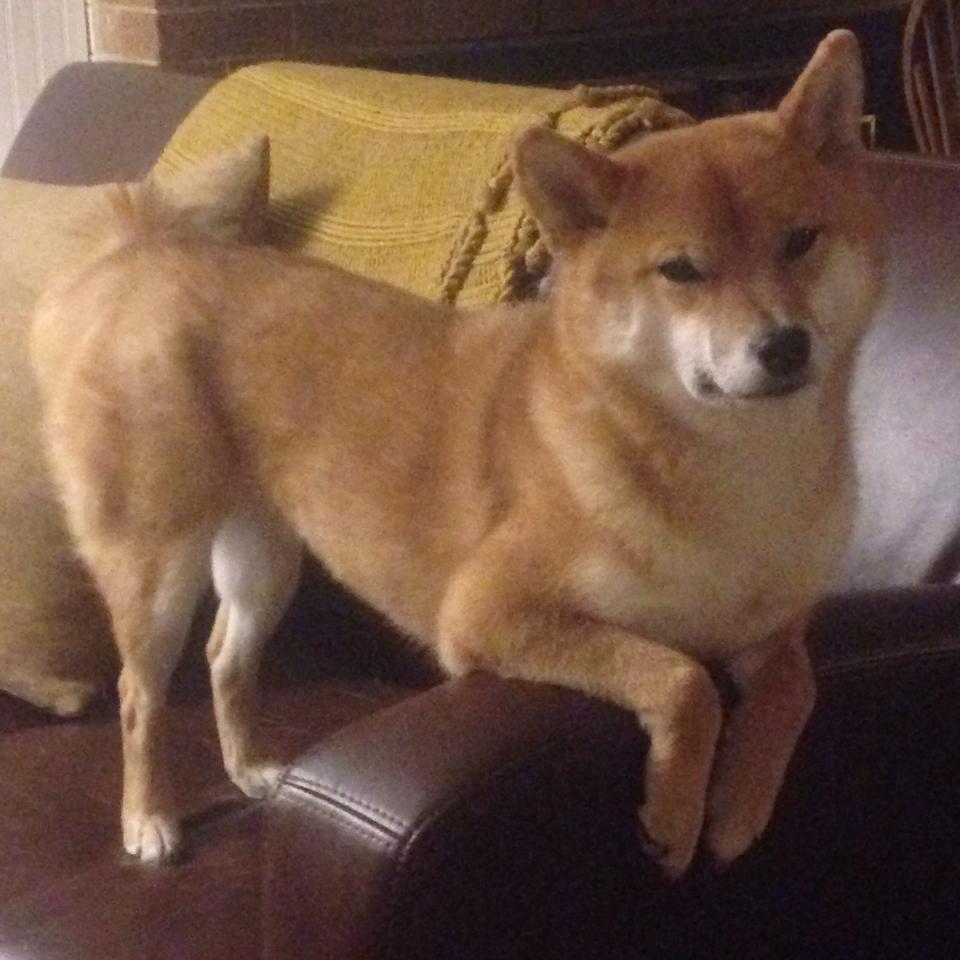 三个不可能，当山西男篮在平行时空绝杀开拓者，与勒布朗·詹姆斯