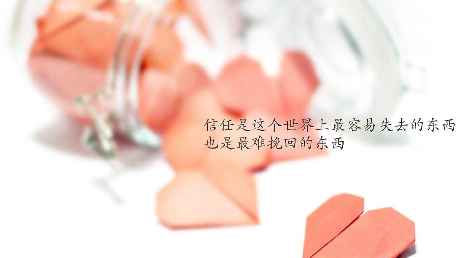 红魔的唯一答案,当卢卡库的暴力美学撞上塞尔维亚的钢铁之墙,比利时用一场完胜定义何为无解