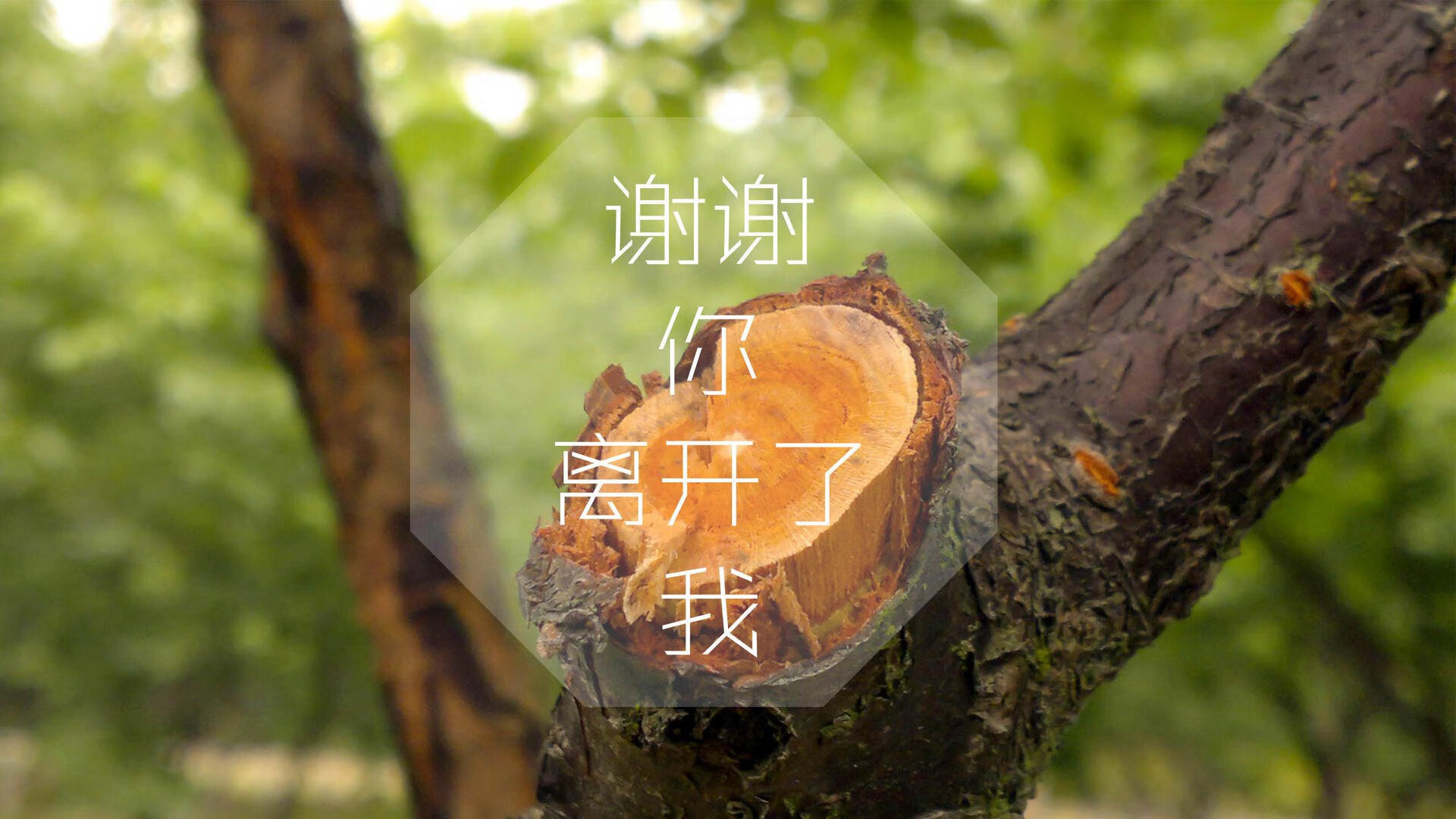 巴格达的沙尘暴,当唯一性成为伊拉克击溃西班牙、奥斯梅恩封神之战的注脚
