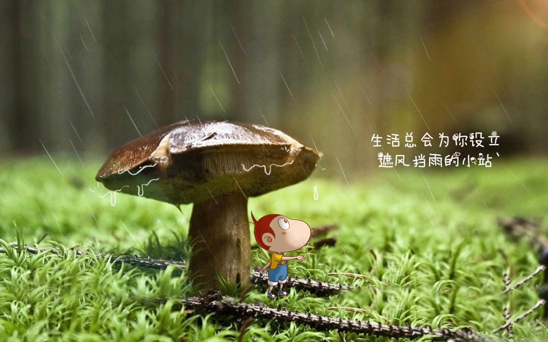 (扩展思维与选择)
